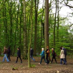 mccoy_wynne-9098-panoramabold_forest_park-1024x768-crop-2-1280x621