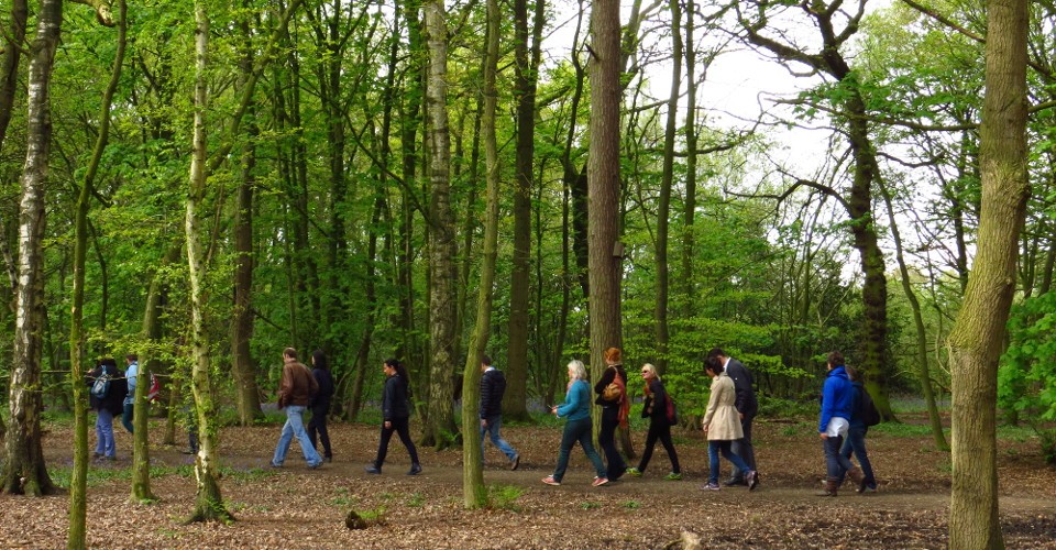 mccoy_wynne-9098-panoramabold_forest_park-1024x768-crop-2-1280x621